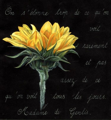 Tournesol-fond-noir.jpg