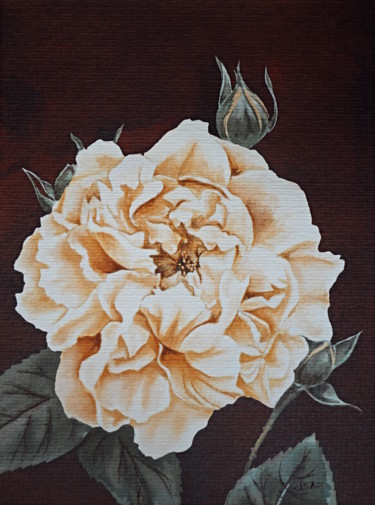 rose-sepia